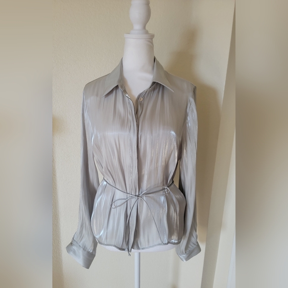 ZARA NWT Silver Liquid Satin Blouse size Large. Metallic Sheer Dressy Top - Picture 4 of 6